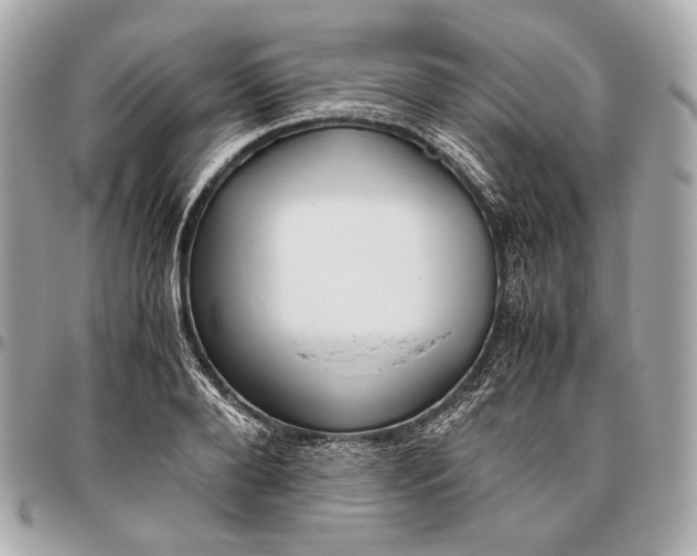 X0000096460888200802071831