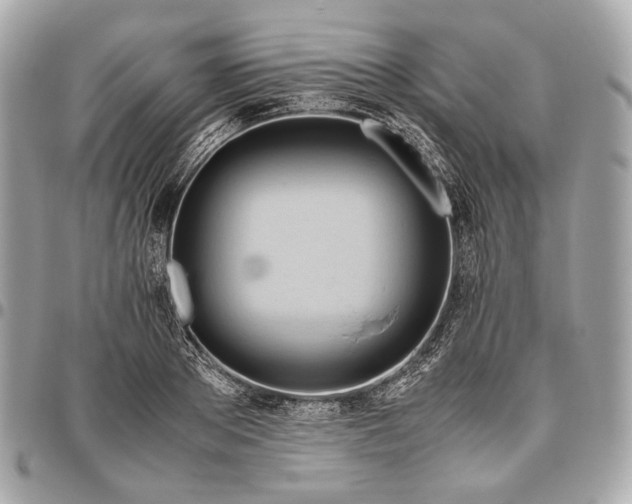 X0000096460889200802071831