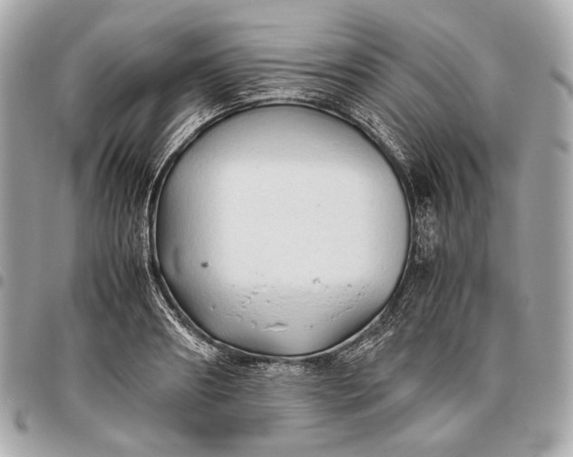 X0000096460890200802071831