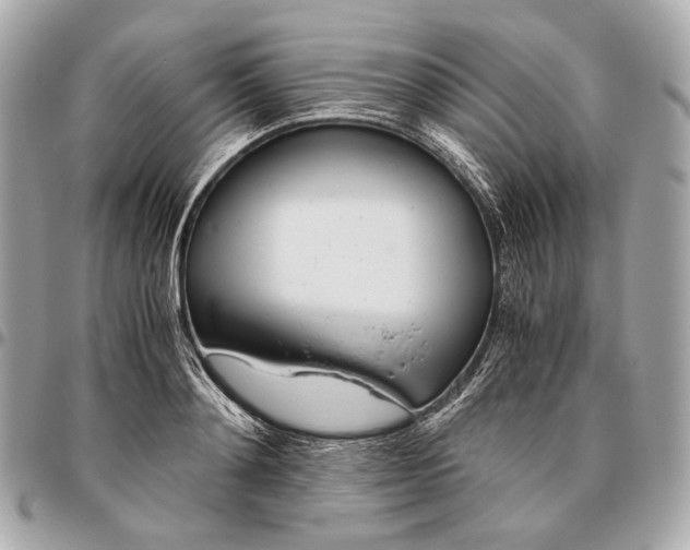 X0000096460892200802071831