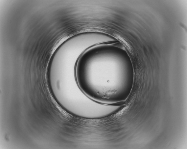 X0000096460893200802071831