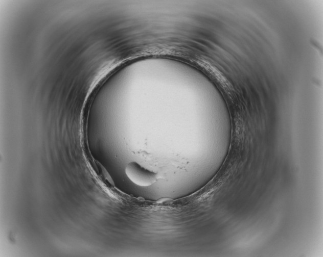 X0000096460894200802071831