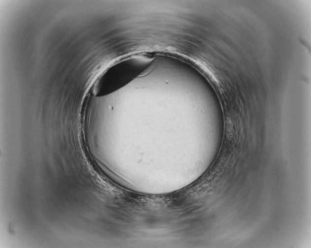 X0000096460895200802071831