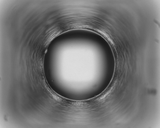 X0000096460897200802071831