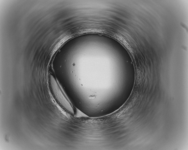 X0000096460898200802071831