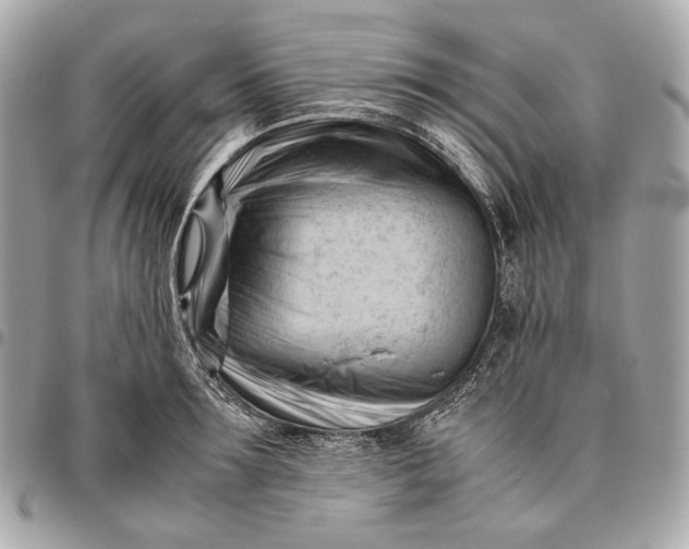 X0000096460899200802071831