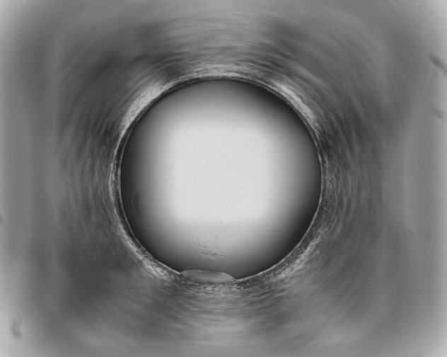 X0000096460901200802071831