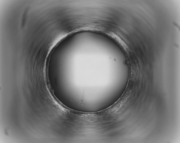 X0000096460902200802071831