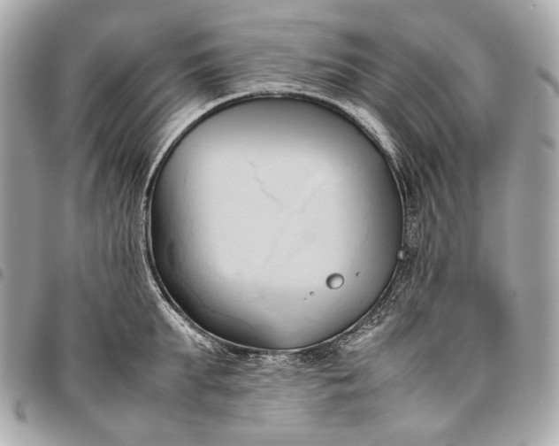 X0000096460903200802071831