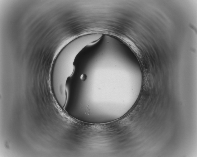 X0000096460904200802071831