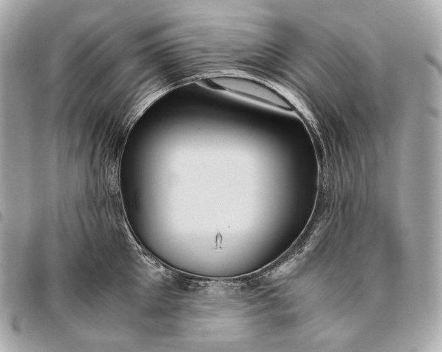 X0000096460905200802071831