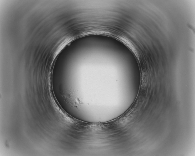 X0000096460906200802071831