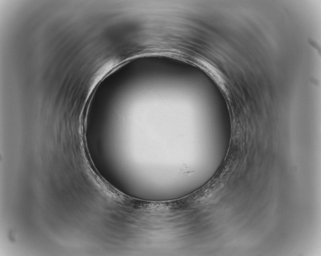 X0000096460907200802071831
