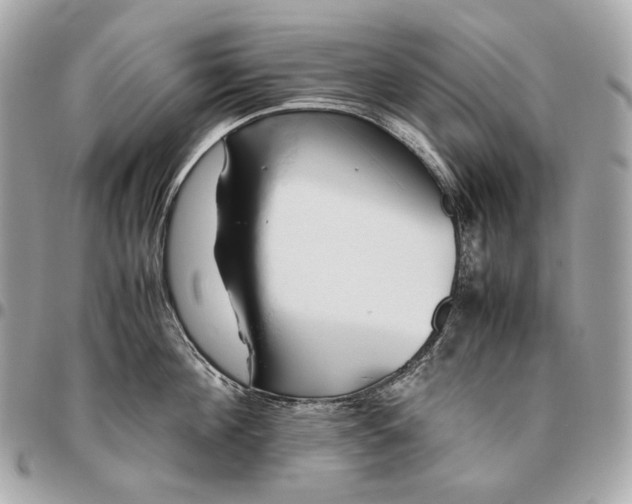 X0000096460908200802071831