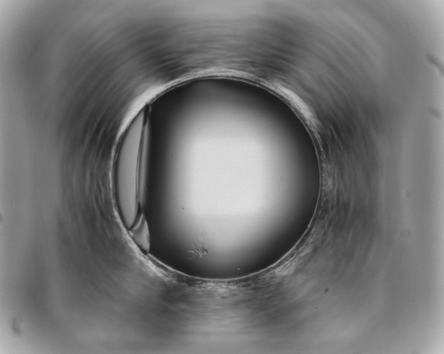 X0000096460910200802071831