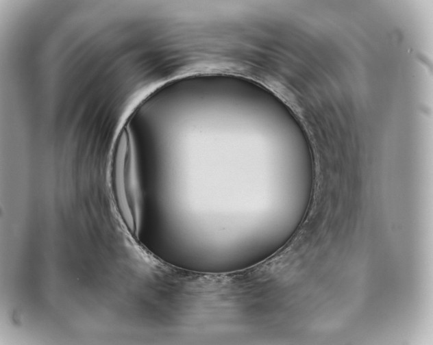 X0000096460912200802071831