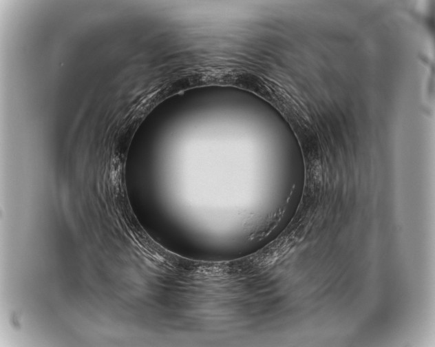 X0000096460914200802071830