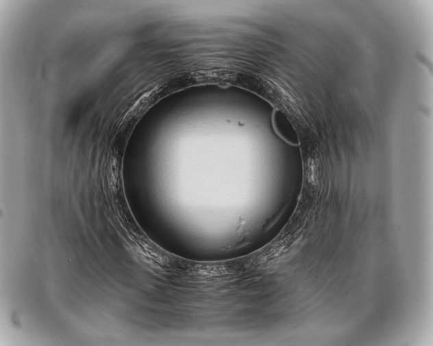 X0000096460915200802071830