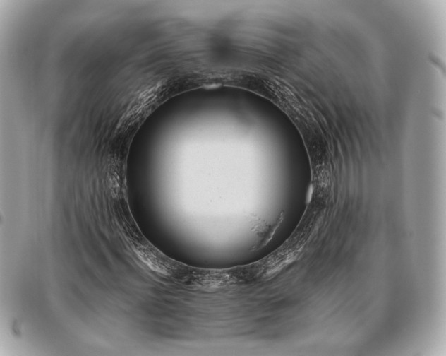 X0000096460916200802071830