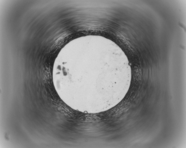 X0000096460918200802071830