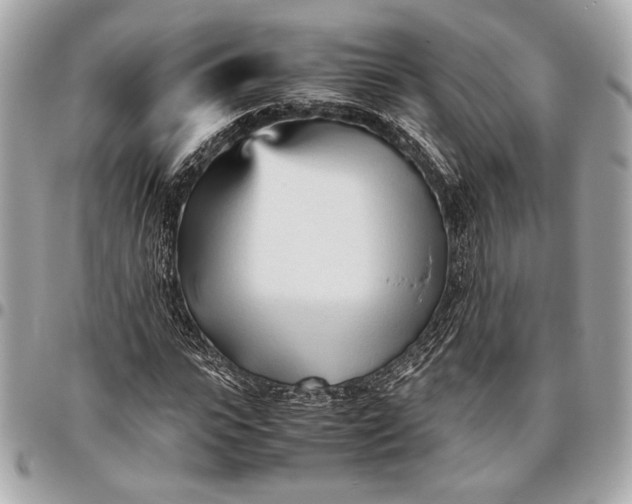 X0000096460919200802071830