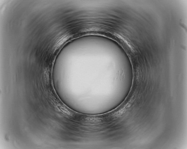 X0000096460921200802071830