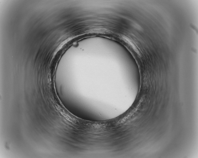 X0000096460923200802071830