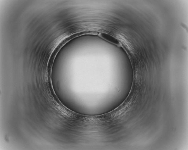 X0000096460924200802071830