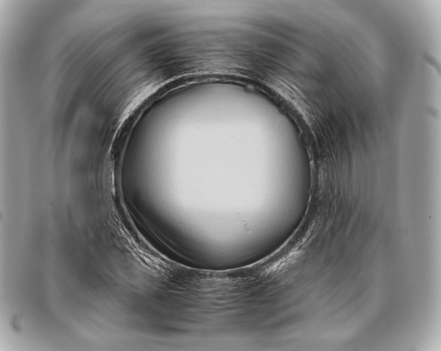 X0000096460925200802071830
