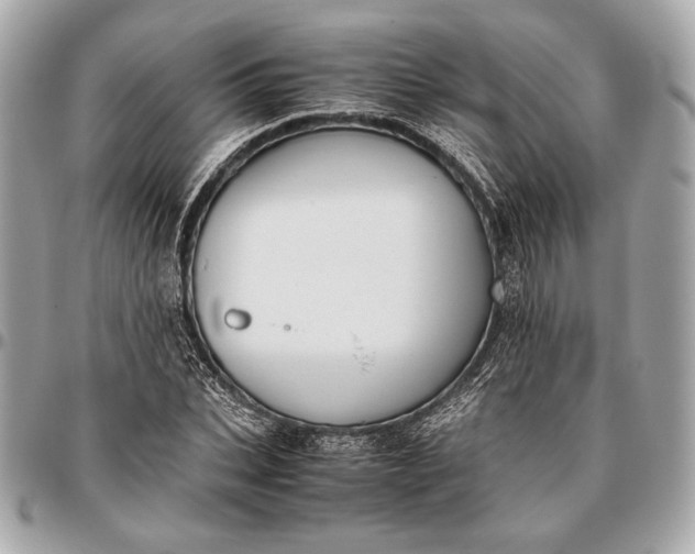 X0000096460927200802071830