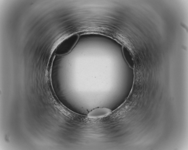 X0000096460928200802071830