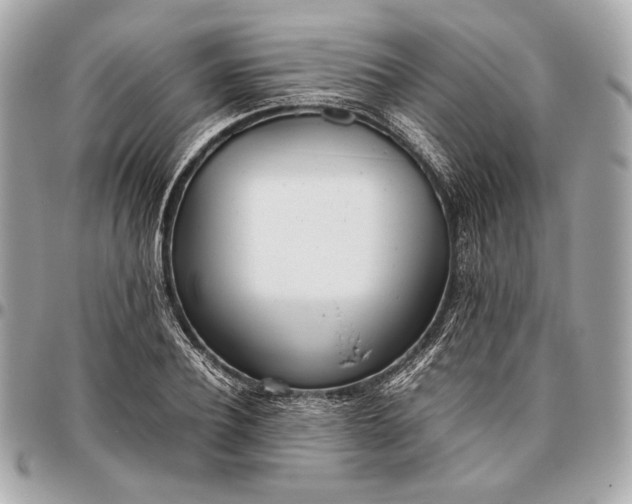 X0000096460932200802071830
