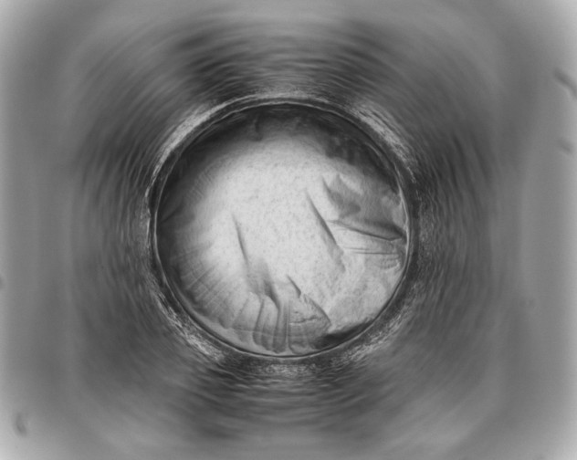 X0000096460933200802071830