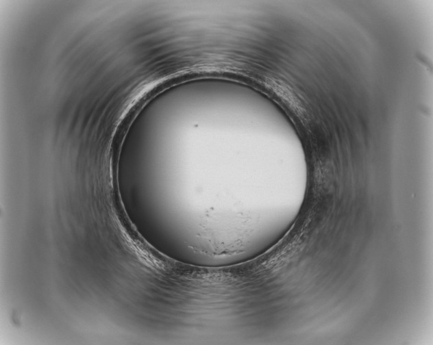 X0000096460934200802071830