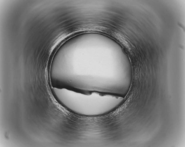 X0000096460936200802071830