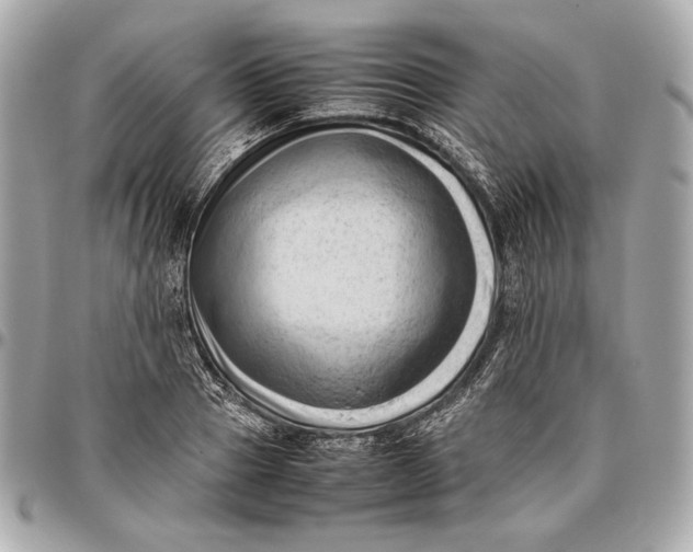 X0000096460937200802071831