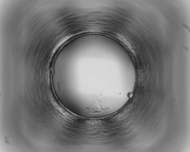 X0000096460939200802071831