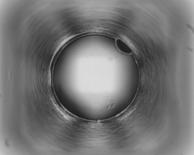 X0000096460940200802071831