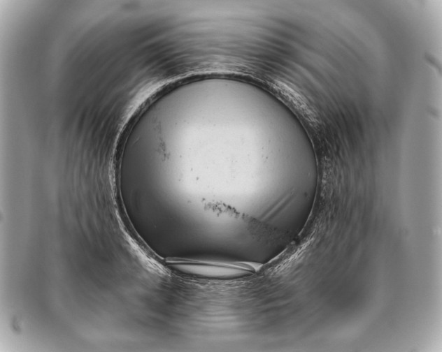 X0000096460942200802071831