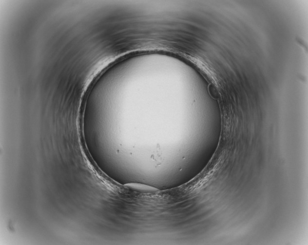 X0000096460943200802071831
