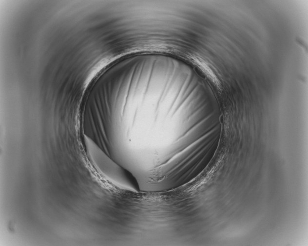 X0000096460944200802071831