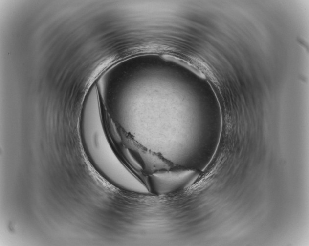 X0000096460946200802071831