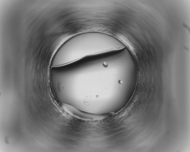 X0000096460948200802071831