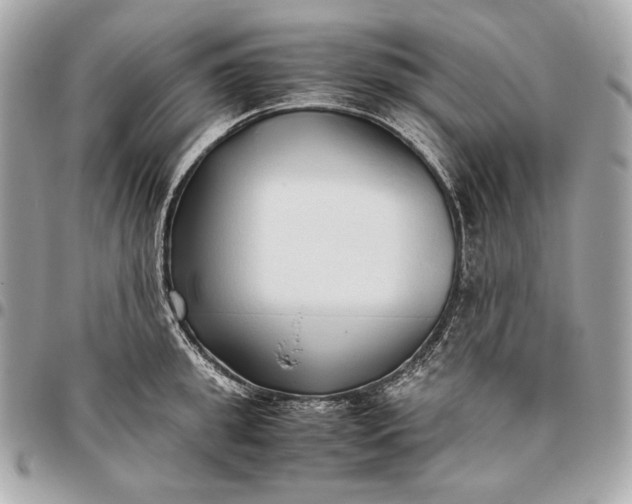 X0000096460949200802071831