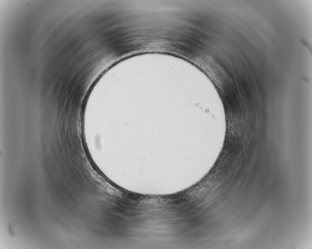 X0000096460950200802071831