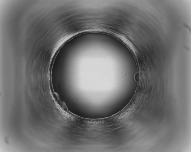 X0000096460951200802071831