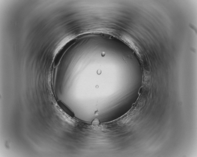 X0000096460952200802071831