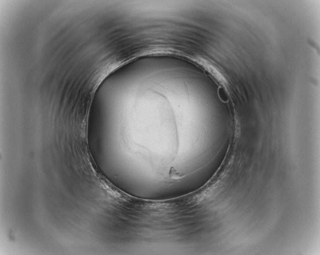 X0000096460953200802071831