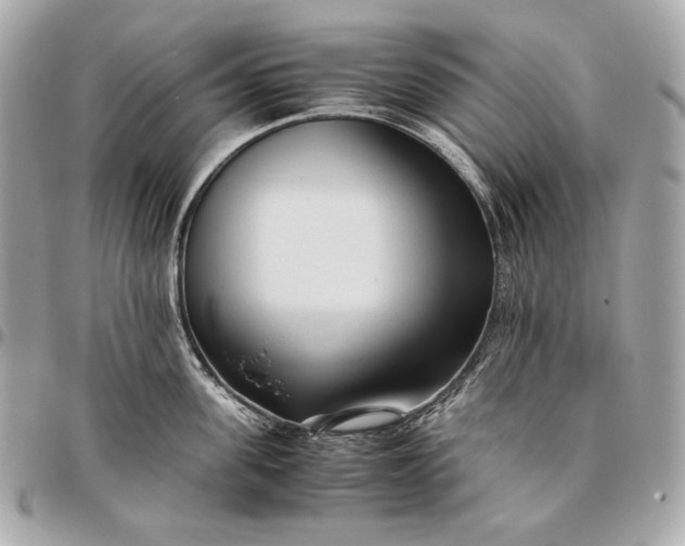 X0000096460955200802071831