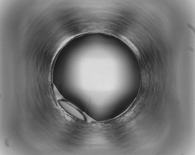 X0000096460956200802071831